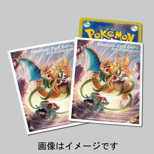 「ポケモンカードゲーム アートコレクション」は、スペシャルキラカード「リザードンEX」が付録