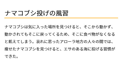 3DS「ポケモン サン ムーン」では、「ナマコブシ」という新ポケモンが登場