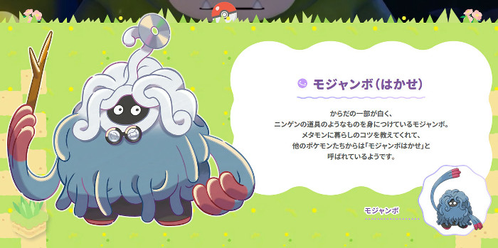 今回の動画では、「ぽこあポケモン」には新たな姿のポケモンが登場することが発表されています