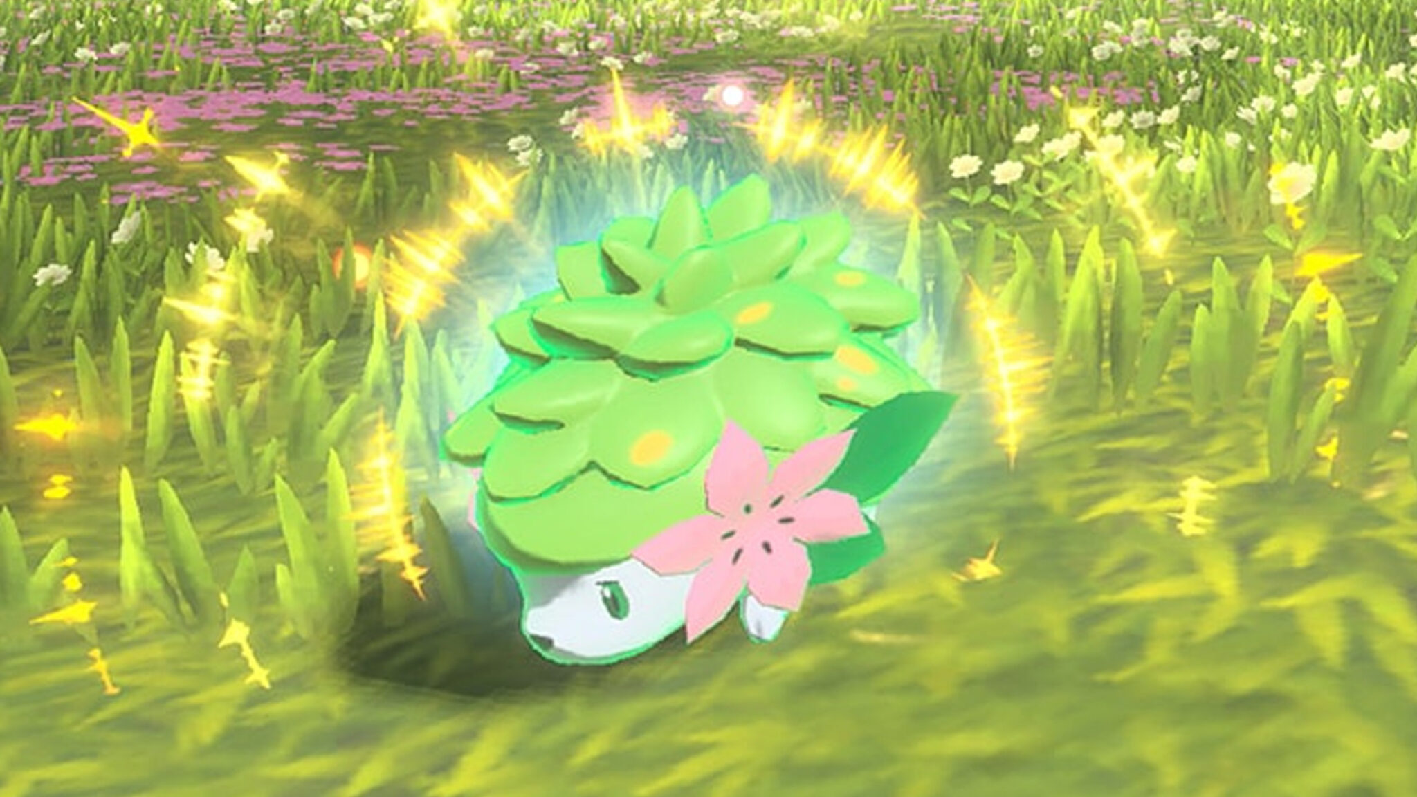 ポケモン、シェイミの入手方法。今でもゲットする方法はある - ポケモンメモ