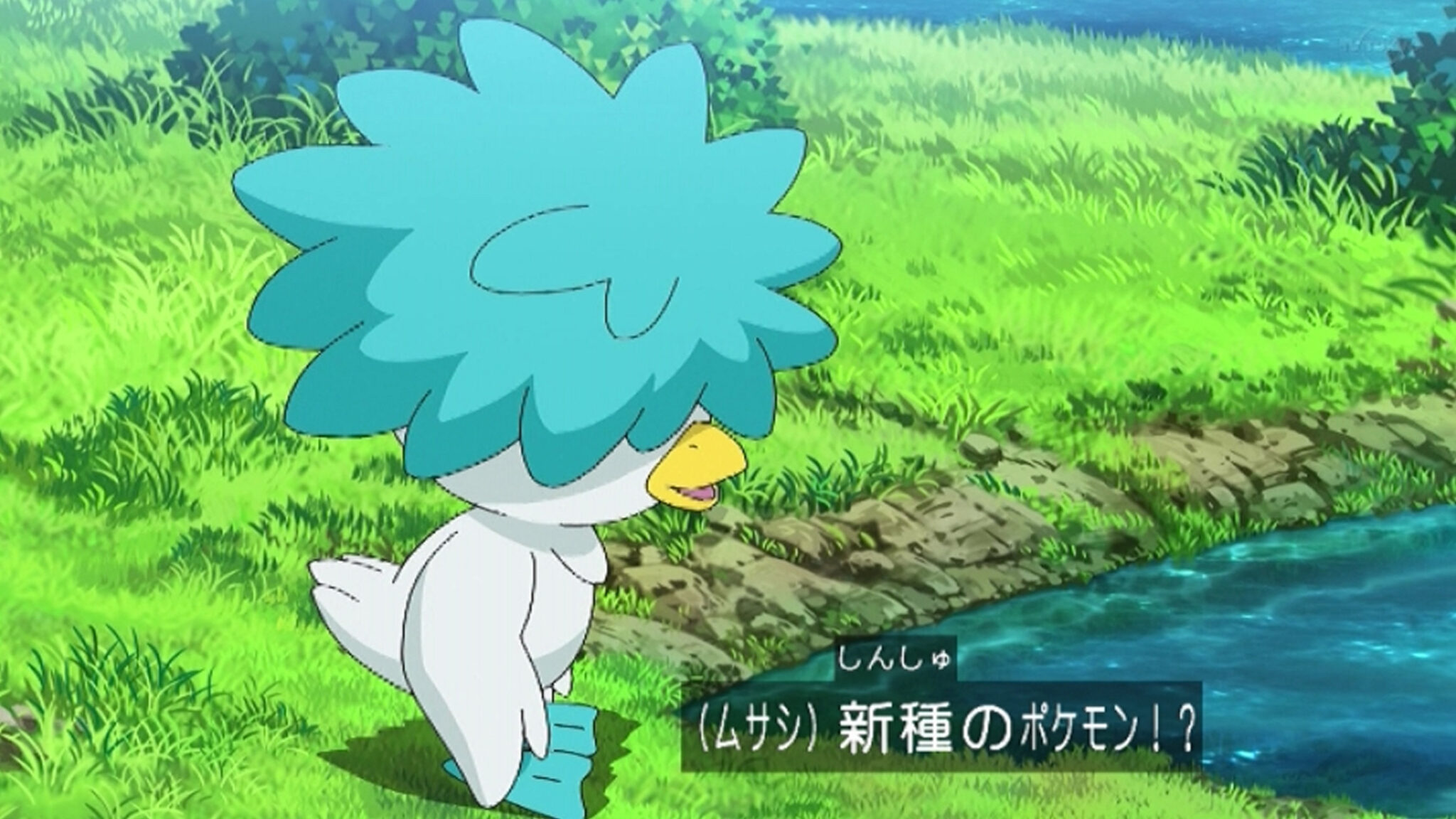 スカーレットバイオレット ポケモン 一覧 ポケモン スカーレット