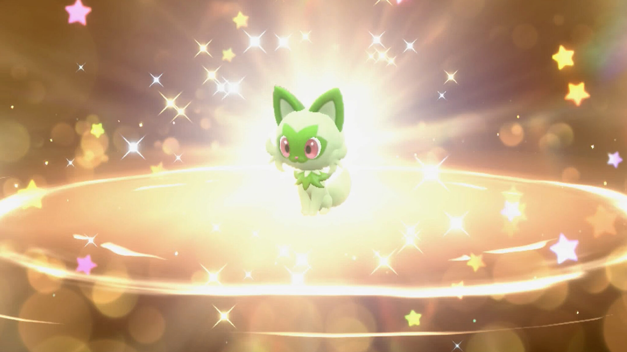 ポケモンSV、リコのニャオハが合言葉で入手可能に。ポケモンアニメとのコラボ - ポケモンメモ