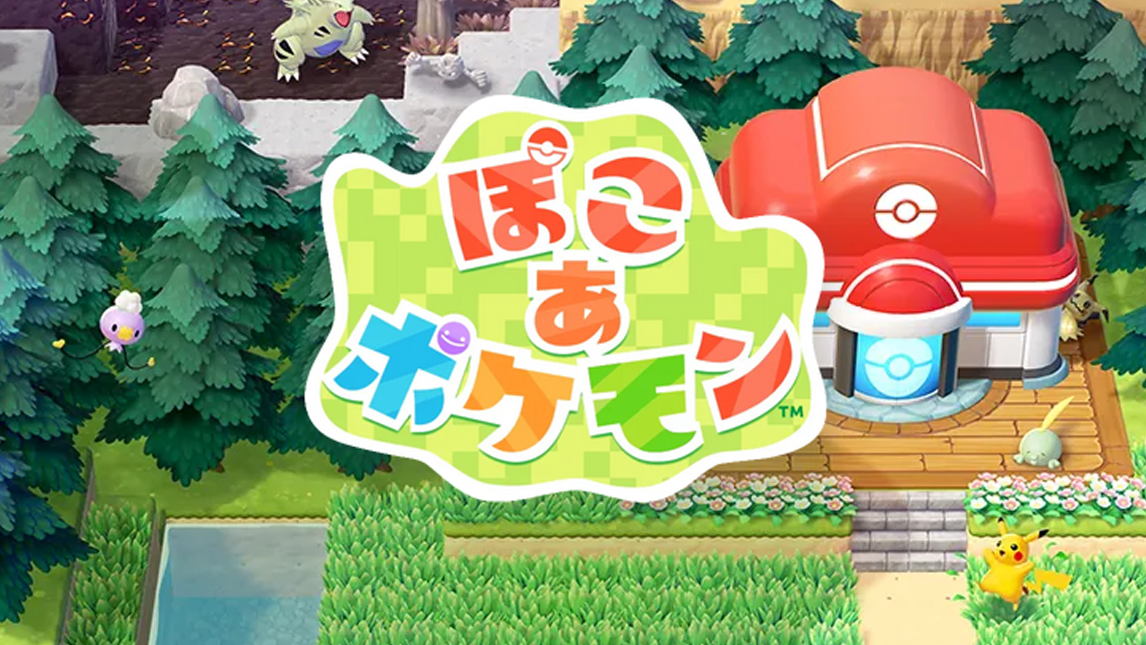ぽこ あ ポケモン、発売日。新情報は2025年11月13日